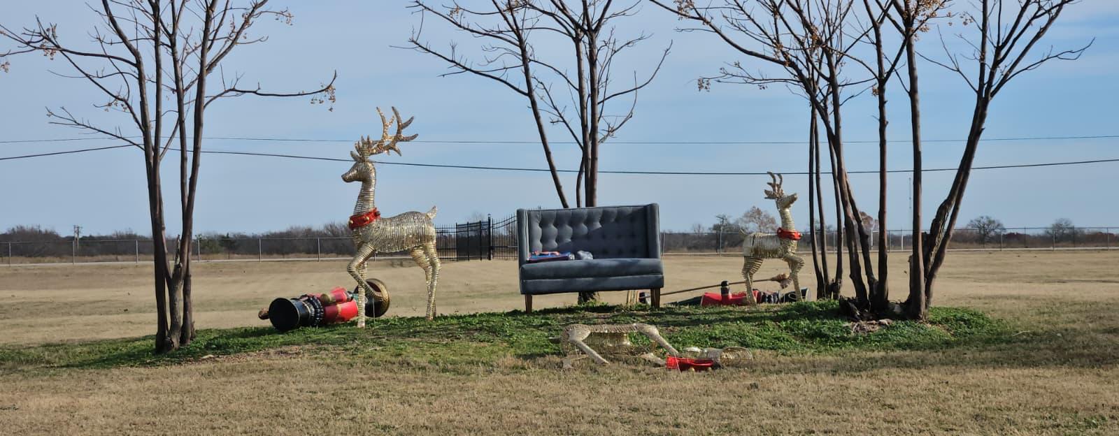 Golden reindeer and a tufted sofa photo spot